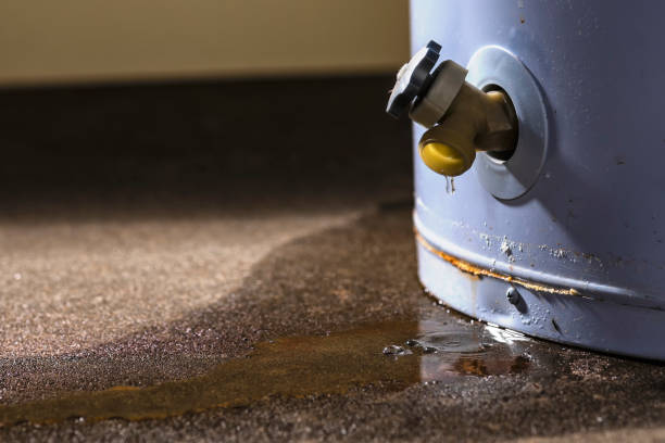 Best Flood damage cleanup  in Hampton, SC