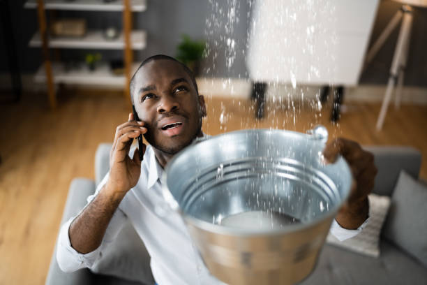 Best Flood restoration services  in Hampton, SC