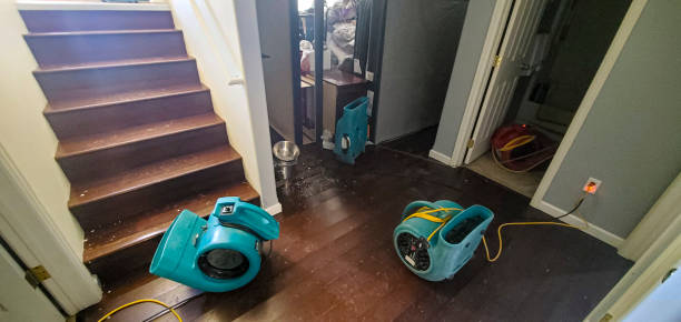Professional Water damage restoration in Hampton, SC
