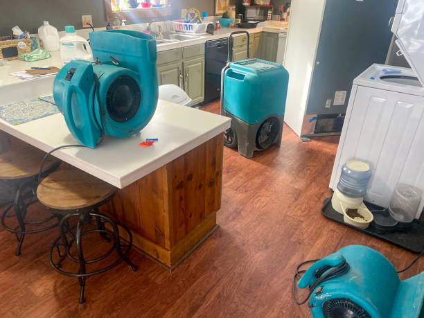 Best Water damage restoration company  in Hampton, SC