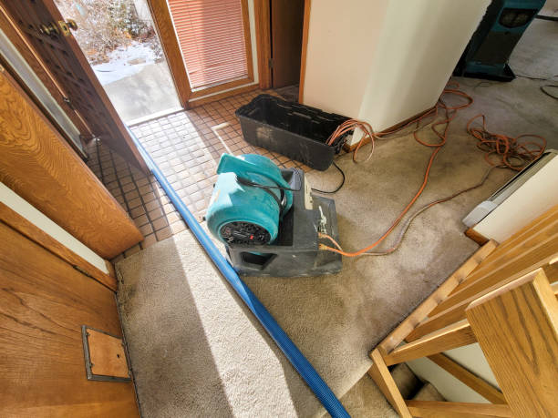 Best Water damage contractors near me  in Hampton, SC
