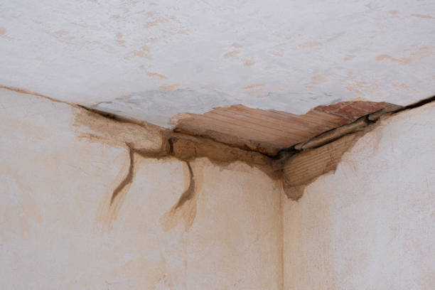 Local water damage restoration in Hampton, SC