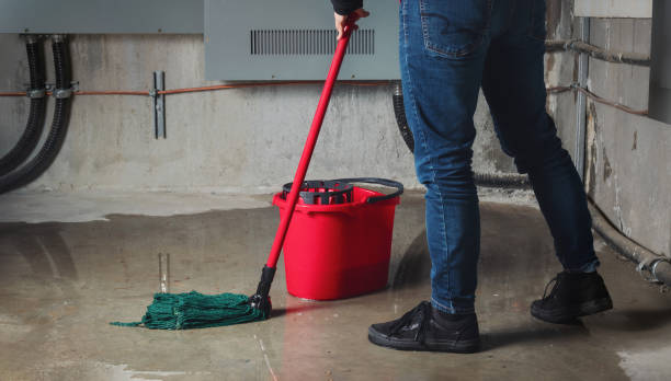 Best Emergency water damage restoration  in Hampton, SC