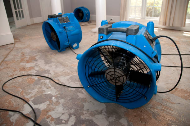 Best Water damage cleanup near me  in Hampton, SC