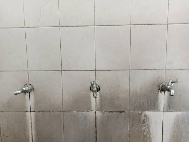 Best Residential water damage restoration  in Hampton, SC