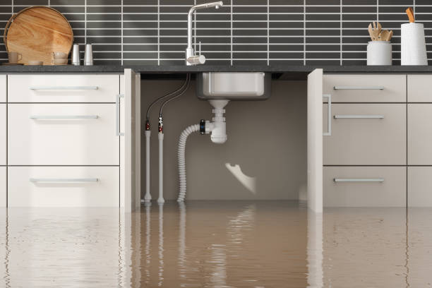 Best Carpet water damage restoration  in Hampton, SC