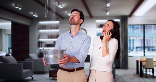 Best Water damage mitigation services  in Hampton, SC