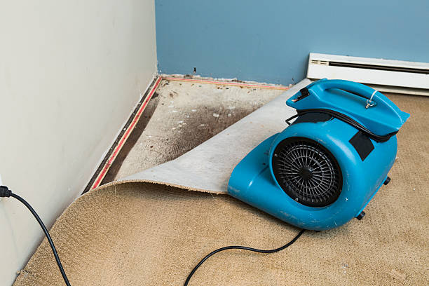 Best Sewage cleanup and water damage restoration  in Hampton, SC